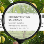 10 años de Innovación en el Sector Agroindustrial: La Solución de Trazabilidad de ITF México con Squid Ink